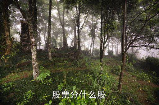 股票分什么股