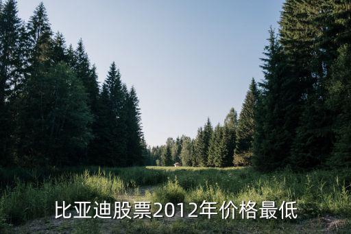 比亚迪股票2012年价格最低