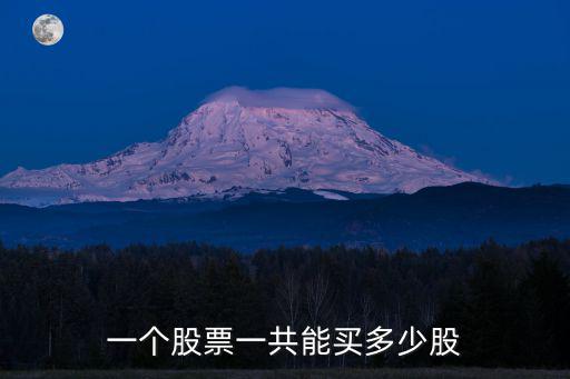 一个股票一共能买多少股