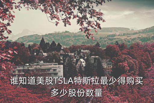 特斯拉持有多少现金股票，特斯拉的股票代码是多少阿