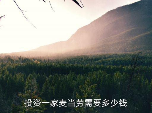 投资一家麦当劳需要多少钱