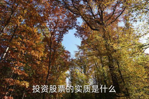 股票收益本质是什么，通过购买股票所得的盈利 的本质是来源于哪里