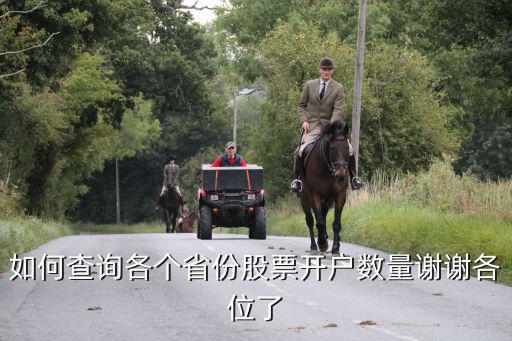怎样查看股票开户多少，自己怎么查询开了多少证劵开户怎么去查询网点销户