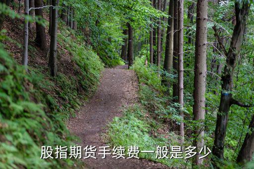 股指期货手续费一般是多少
