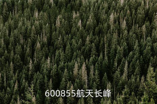 600855航天长峰