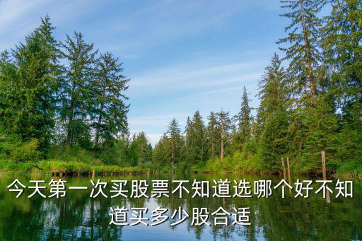 纪元1800多少股票合适，纪元1800AI岛屿的股票怎么看值不值得买