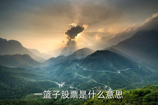 某宝丰是什么股票，鸿远电子与宝丰能源哪个股票好应该申购哪个