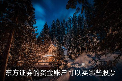 东方证券的资金账户可以买哪些股票