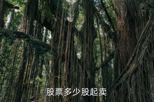 股票每次买卖多少股，股票多少股起卖