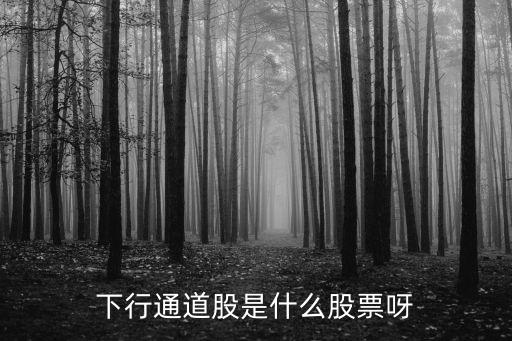 下行通道股是什么股票呀