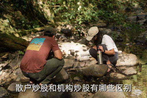 散户炒股和机构炒股有哪些区别