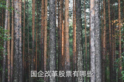 国企改革股票有哪些