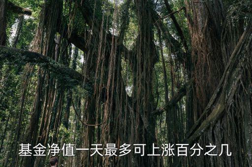 股票基金最多涨多少，基金净值一天最多可上涨百分之几