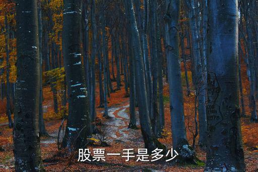 股票一手是多少