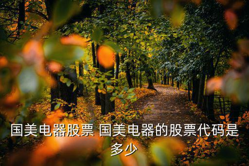 国美电器股票 国美电器的股票代码是多少