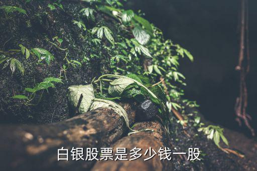 股票白银多少钱，白银股票是多少钱一股