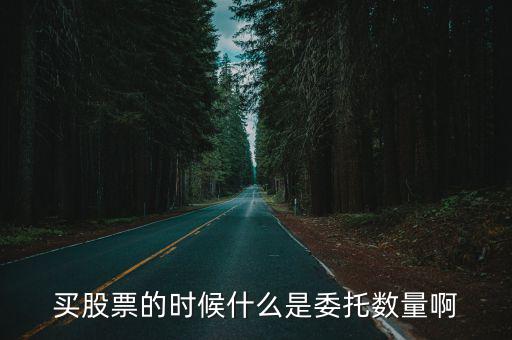 买股票的时候什么是委托数量啊