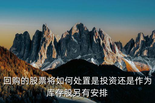 回购的股票将如何处置是投资还是作为库存股另有安排