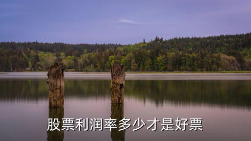 股票利润率多少才是好票