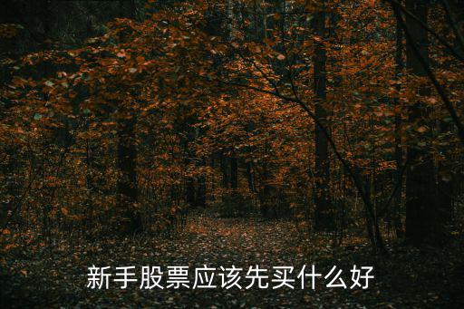 新手股票应该先买什么好