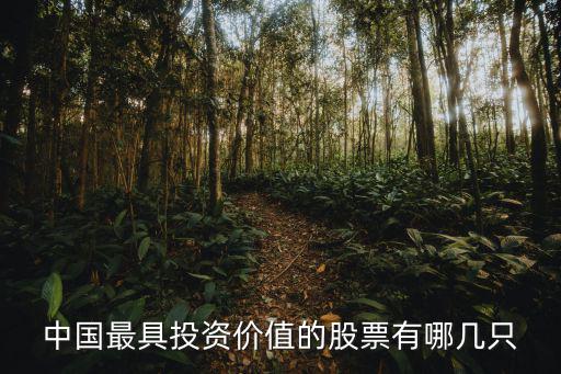 中国最具投资价值的股票有哪几只