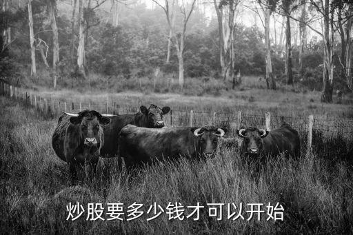 炒股要多少钱才可以开始