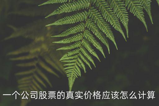 一个公司股票的真实价格应该怎么计算