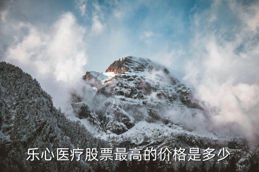 乐心医疗股票最高的价格是多少