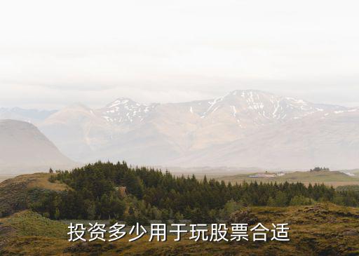 投资多少用于玩股票合适