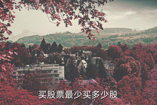买股票最少买多少股