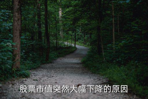 为什么股票市值大跌，为什么股票会跌