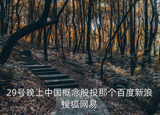 29号晚上中国概念股投那个百度新浪搜狐网易