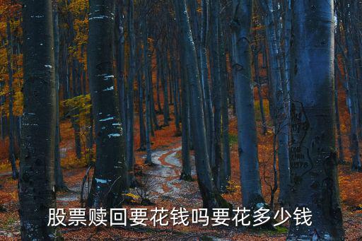 股票赎回要花钱吗要花多少钱