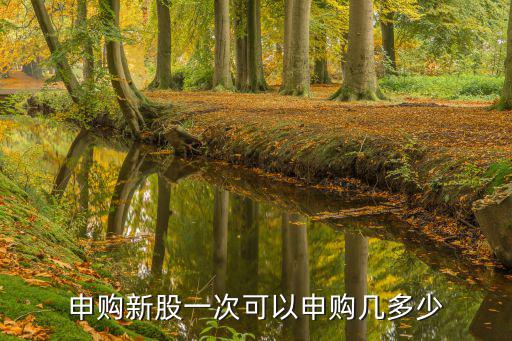 申购新股一次可以申购几多少