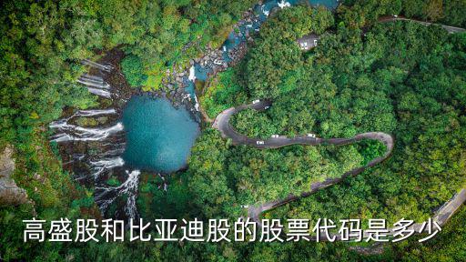 比亚迪上市股票代码多少，比亚迪的股票代码是具体