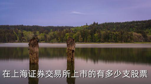 在上海证券交易所上市的有多少支股票