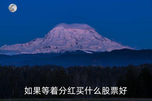 收股息买什么股票，如果等着分红买什么股票好