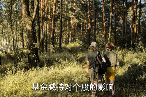 基金减持什么股票，股票减持是什么意思