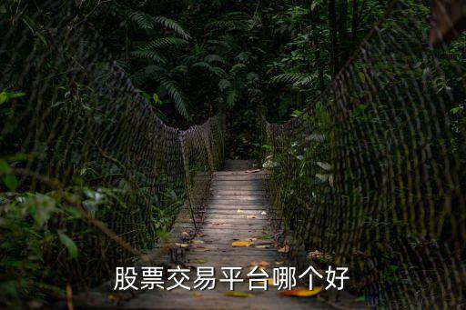股票交易平台哪个好