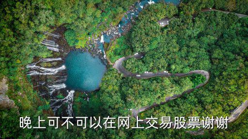 晚上可不可以在网上交易股票谢谢