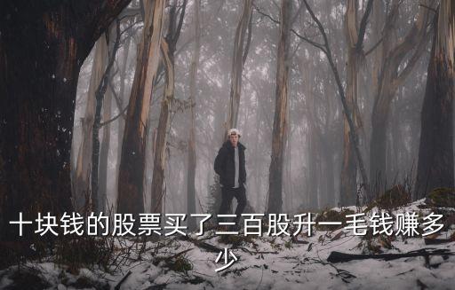 股票涨幅10盈利多少，如果股票涨10基金涨多少