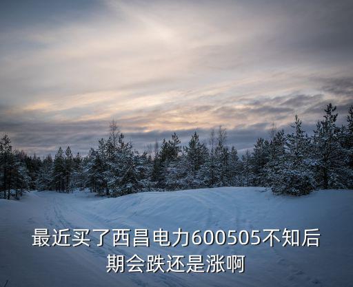 西昌电咪股票多少，西昌电力涉嫌泄密股价会大跌吗