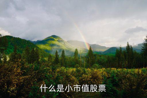 什么是小市值股票
