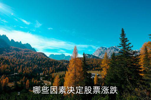哪些因素决定股票涨跌