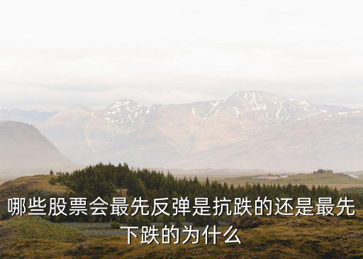 昨日什么股票率先反弹，A股大跌之后哪些股票会率先反弹