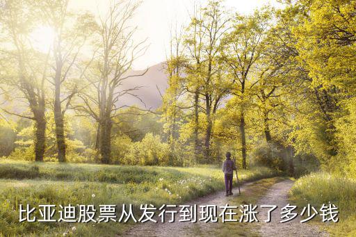 昨天比亚迪股票多少钱，比亚迪股票从发行到现在涨了多少钱