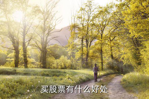 买了股票享有什么权益，购买股票可以得到哪些收益