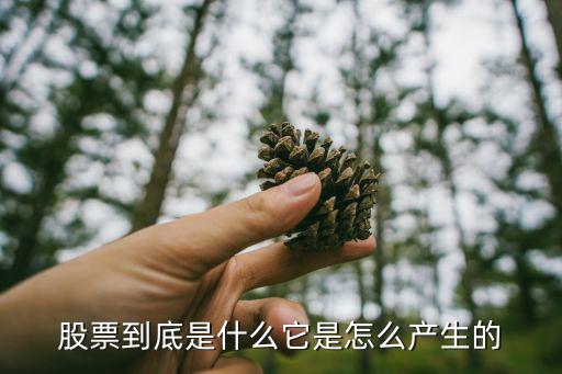 股票体现什么精神，股票到底是什么它是怎么产生的