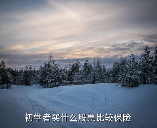 初学者买什么股票比较保险