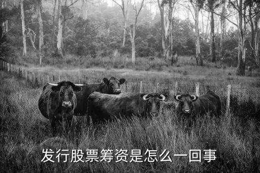 发行股票筹资是怎么一回事